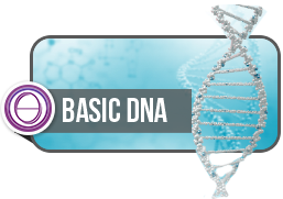 Theta Healing Basis DNA Seminar